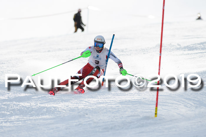 Int. FIS Rennen + NJC  AC Damen, FIS SG, Götschen, 01.02.2019
