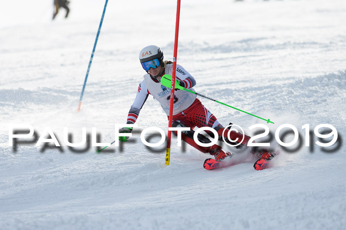 Int. FIS Rennen + NJC  AC Damen, FIS SG, Götschen, 01.02.2019