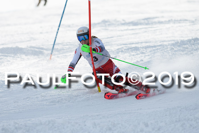 Int. FIS Rennen + NJC  AC Damen, FIS SG, Götschen, 01.02.2019