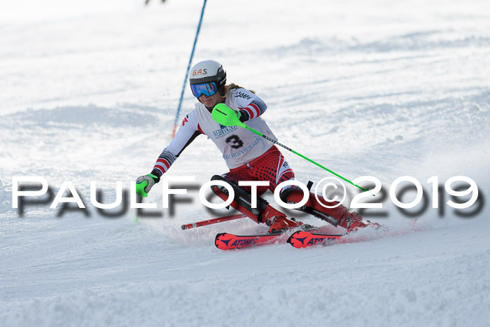 Int. FIS Rennen + NJC  AC Damen, FIS SG, Götschen, 01.02.2019