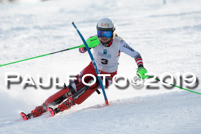 Int. FIS Rennen + NJC  AC Damen, FIS SG, Götschen, 01.02.2019