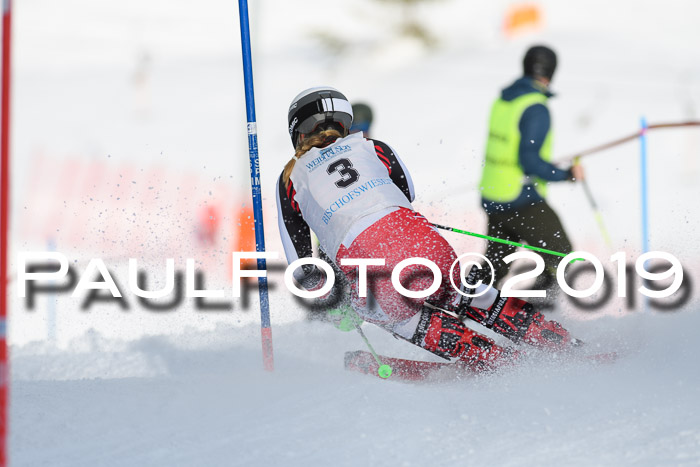 Int. FIS Rennen + NJC  AC Damen, FIS SG, Götschen, 01.02.2019