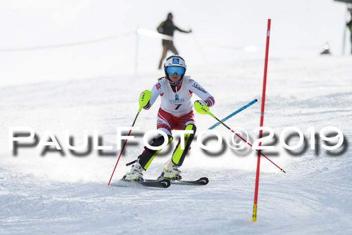 Int. FIS Rennen + NJC  AC Damen, FIS SG, Götschen, 01.02.2019