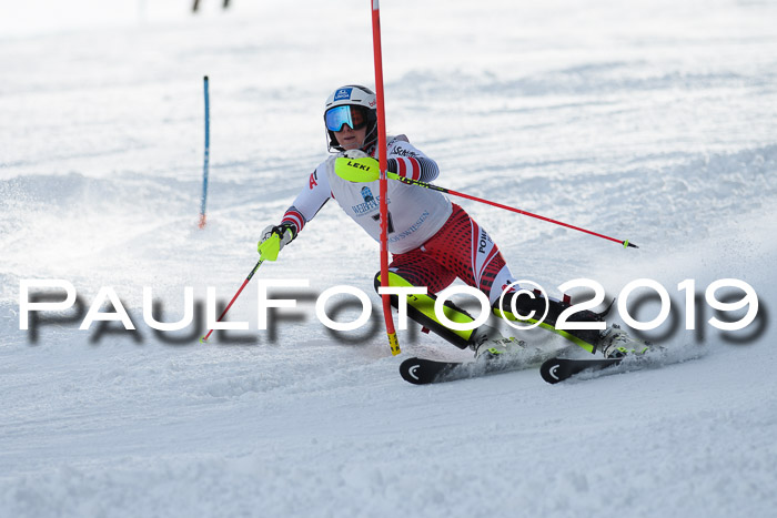 Int. FIS Rennen + NJC  AC Damen, FIS SG, Götschen, 01.02.2019