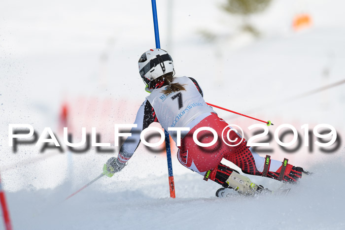 Int. FIS Rennen + NJC  AC Damen, FIS SG, Götschen, 01.02.2019