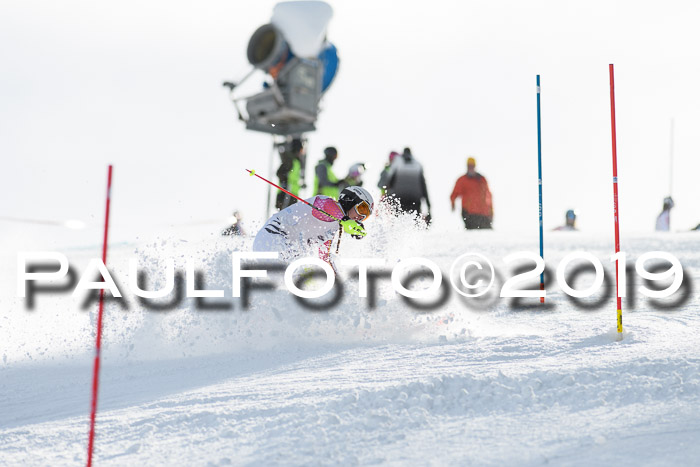 Int. FIS Rennen + NJC  AC Damen, FIS SG, Götschen, 01.02.2019