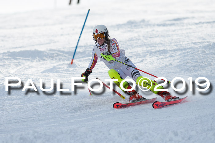 Int. FIS Rennen + NJC  AC Damen, FIS SG, Götschen, 01.02.2019