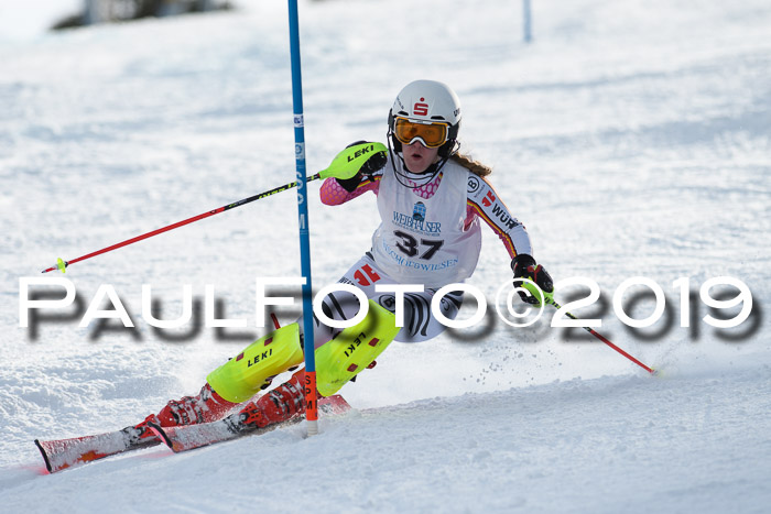 Int. FIS Rennen + NJC  AC Damen, FIS SG, Götschen, 01.02.2019