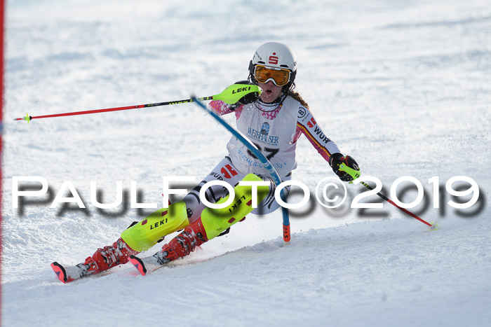 Int. FIS Rennen + NJC  AC Damen, FIS SG, Götschen, 01.02.2019