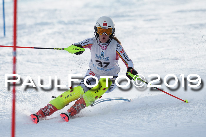 Int. FIS Rennen + NJC  AC Damen, FIS SG, Götschen, 01.02.2019