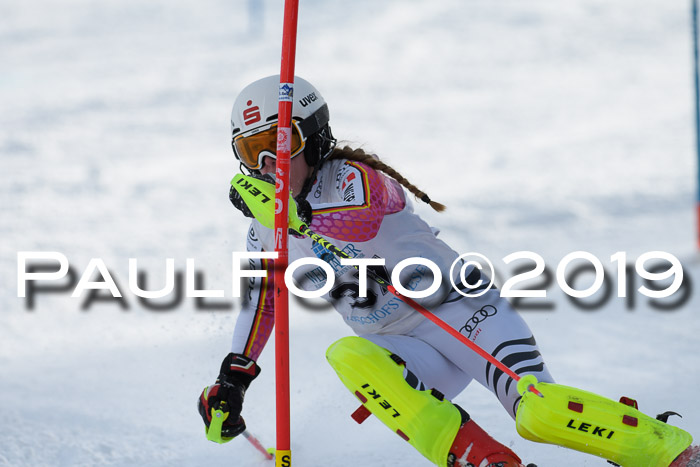 Int. FIS Rennen + NJC  AC Damen, FIS SG, Götschen, 01.02.2019