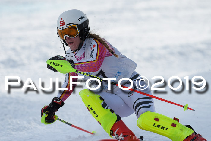 Int. FIS Rennen + NJC  AC Damen, FIS SG, Götschen, 01.02.2019
