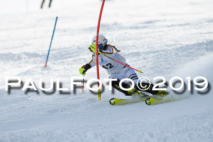 Int. FIS Rennen + NJC  AC Damen, FIS SG, Götschen, 01.02.2019