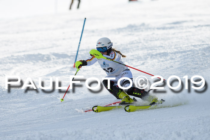 Int. FIS Rennen + NJC  AC Damen, FIS SG, Götschen, 01.02.2019