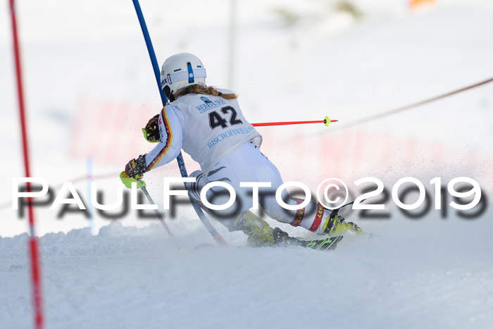 Int. FIS Rennen + NJC  AC Damen, FIS SG, Götschen, 01.02.2019