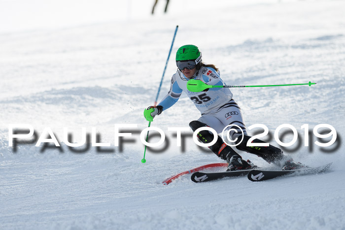Int. FIS Rennen + NJC  AC Damen, FIS SG, Götschen, 01.02.2019