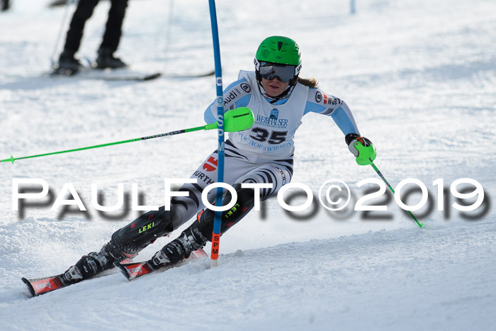 Int. FIS Rennen + NJC  AC Damen, FIS SG, Götschen, 01.02.2019