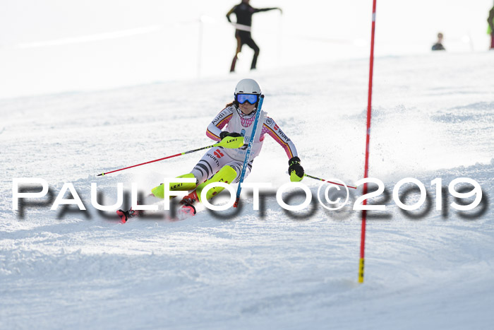Int. FIS Rennen + NJC  AC Damen, FIS SG, Götschen, 01.02.2019