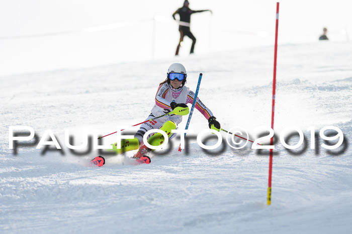 Int. FIS Rennen + NJC  AC Damen, FIS SG, Götschen, 01.02.2019