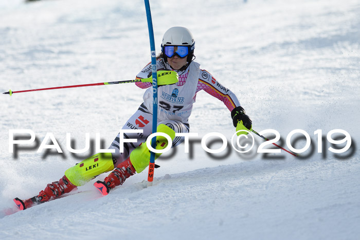 Int. FIS Rennen + NJC  AC Damen, FIS SG, Götschen, 01.02.2019