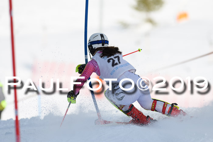 Int. FIS Rennen + NJC  AC Damen, FIS SG, Götschen, 01.02.2019