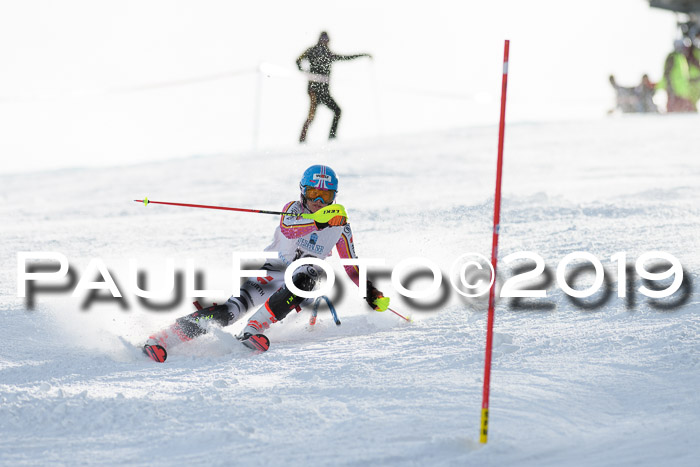 Int. FIS Rennen + NJC  AC Damen, FIS SG, Götschen, 01.02.2019