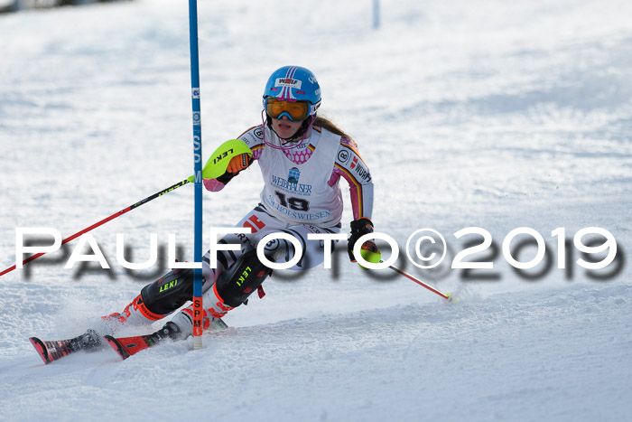 Int. FIS Rennen + NJC  AC Damen, FIS SG, Götschen, 01.02.2019