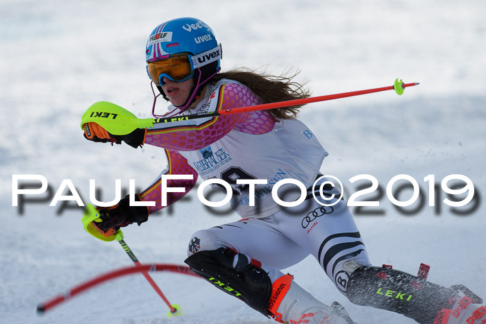 Int. FIS Rennen + NJC  AC Damen, FIS SG, Götschen, 01.02.2019