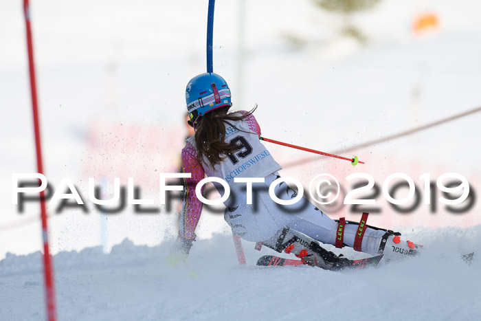 Int. FIS Rennen + NJC  AC Damen, FIS SG, Götschen, 01.02.2019