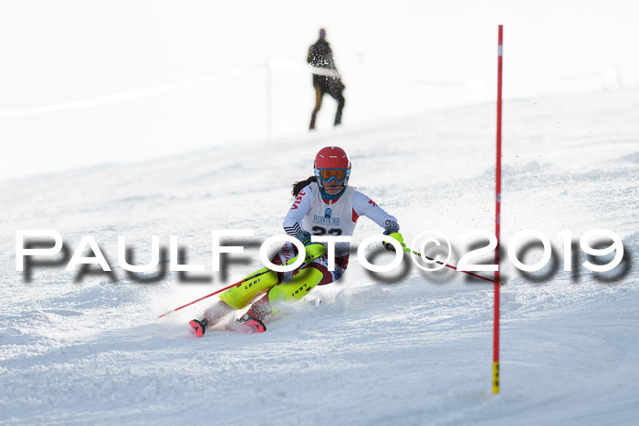 Int. FIS Rennen + NJC  AC Damen, FIS SG, Götschen, 01.02.2019
