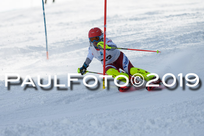 Int. FIS Rennen + NJC  AC Damen, FIS SG, Götschen, 01.02.2019