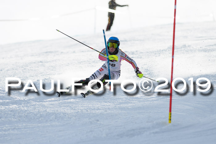 Int. FIS Rennen + NJC  AC Damen, FIS SG, Götschen, 01.02.2019