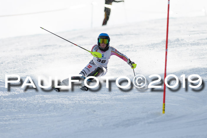 Int. FIS Rennen + NJC  AC Damen, FIS SG, Götschen, 01.02.2019