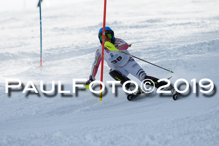Int. FIS Rennen + NJC  AC Damen, FIS SG, Götschen, 01.02.2019
