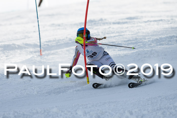 Int. FIS Rennen + NJC  AC Damen, FIS SG, Götschen, 01.02.2019