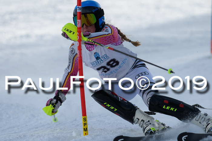 Int. FIS Rennen + NJC  AC Damen, FIS SG, Götschen, 01.02.2019