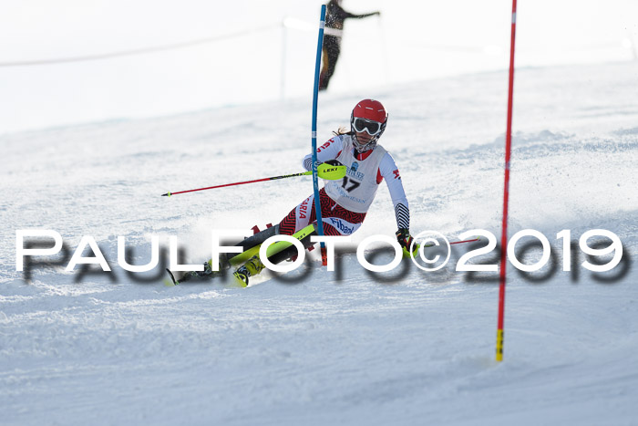 Int. FIS Rennen + NJC  AC Damen, FIS SG, Götschen, 01.02.2019