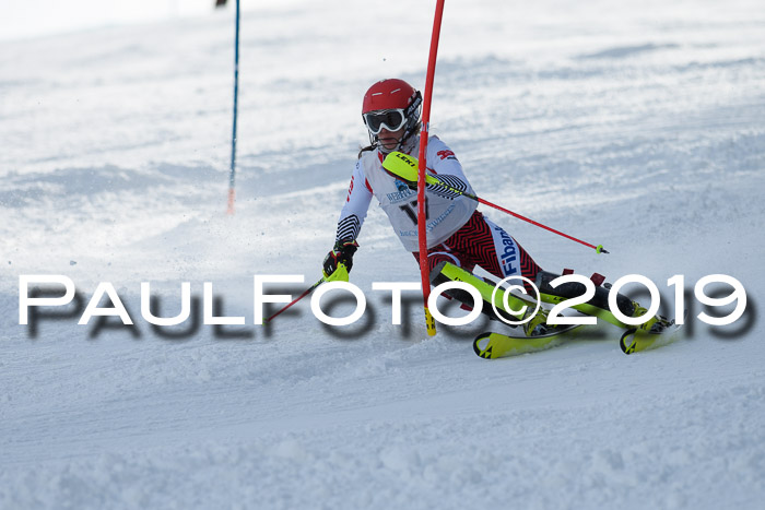 Int. FIS Rennen + NJC  AC Damen, FIS SG, Götschen, 01.02.2019