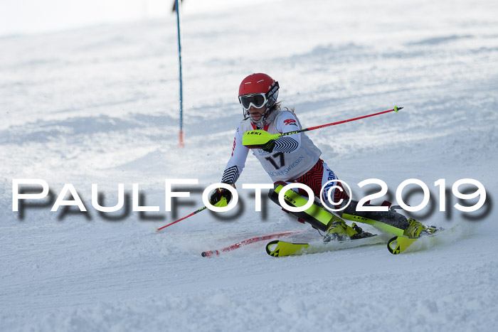 Int. FIS Rennen + NJC  AC Damen, FIS SG, Götschen, 01.02.2019