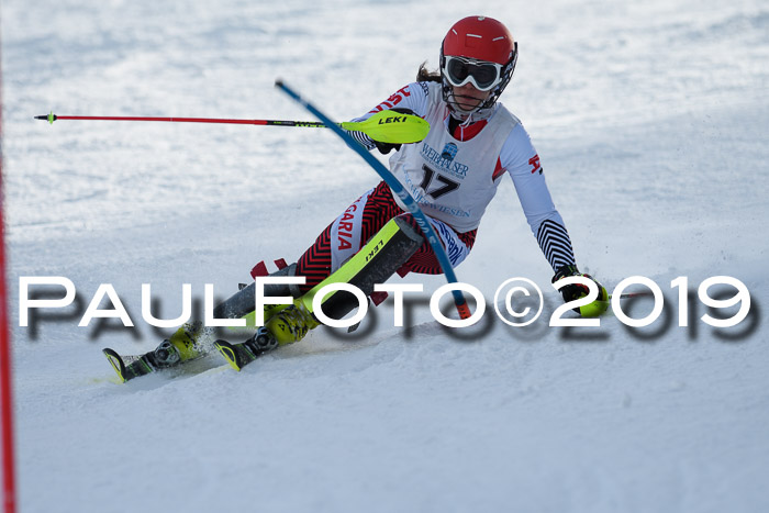 Int. FIS Rennen + NJC  AC Damen, FIS SG, Götschen, 01.02.2019
