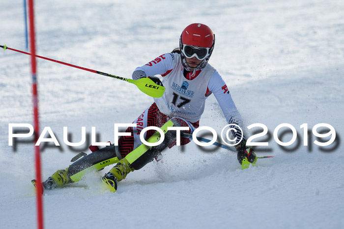 Int. FIS Rennen + NJC  AC Damen, FIS SG, Götschen, 01.02.2019