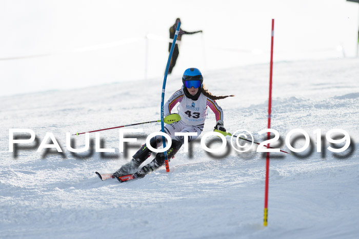 Int. FIS Rennen + NJC  AC Damen, FIS SG, Götschen, 01.02.2019