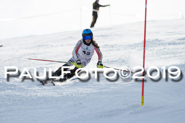 Int. FIS Rennen + NJC  AC Damen, FIS SG, Götschen, 01.02.2019