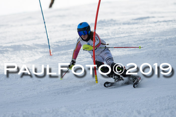 Int. FIS Rennen + NJC  AC Damen, FIS SG, Götschen, 01.02.2019