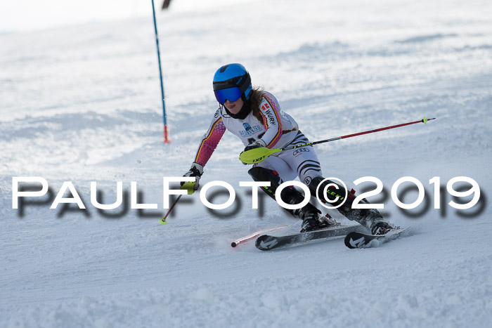 Int. FIS Rennen + NJC  AC Damen, FIS SG, Götschen, 01.02.2019