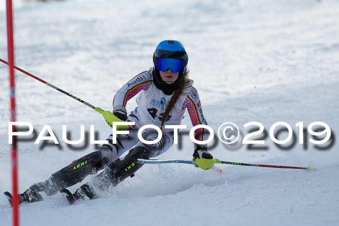 Int. FIS Rennen + NJC  AC Damen, FIS SG, Götschen, 01.02.2019