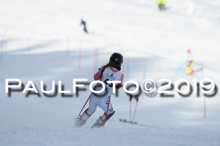 Int. FIS Rennen + NJC  AC Damen, FIS SG, Götschen, 01.02.2019