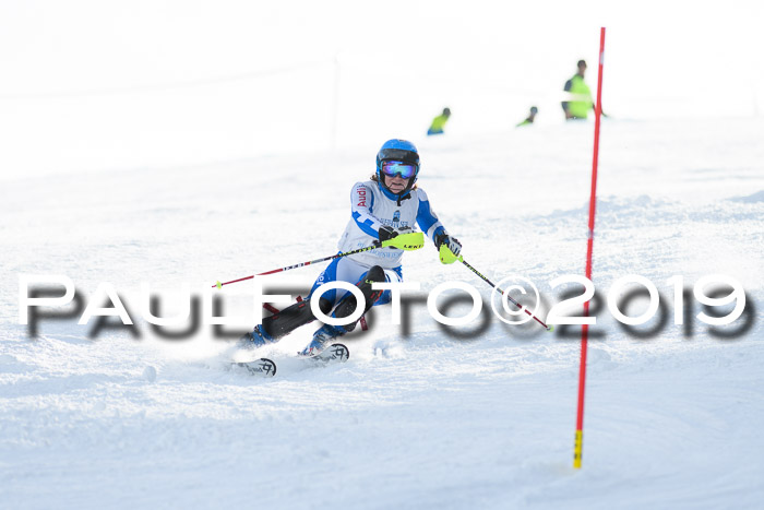Int. FIS Rennen + NJC  AC Damen, FIS SG, Götschen, 01.02.2019