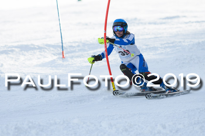 Int. FIS Rennen + NJC  AC Damen, FIS SG, Götschen, 01.02.2019