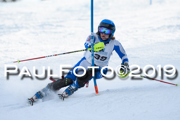Int. FIS Rennen + NJC  AC Damen, FIS SG, Götschen, 01.02.2019